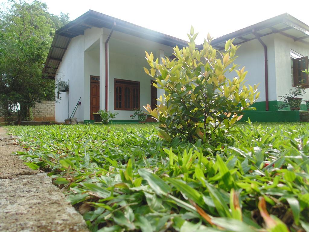 White Eagle Hotel Sigiriya Exterior photo